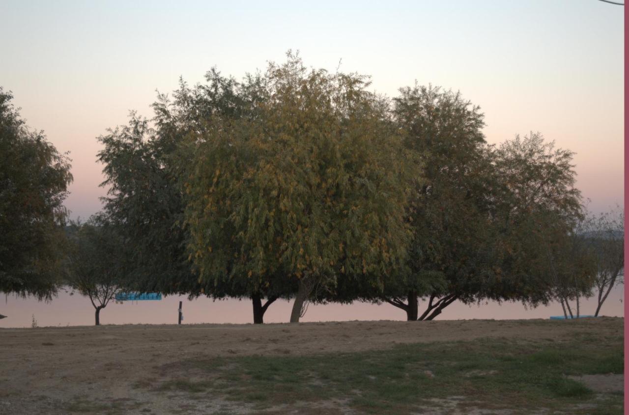 Котеджі Арлен Dyyda Exterior photo